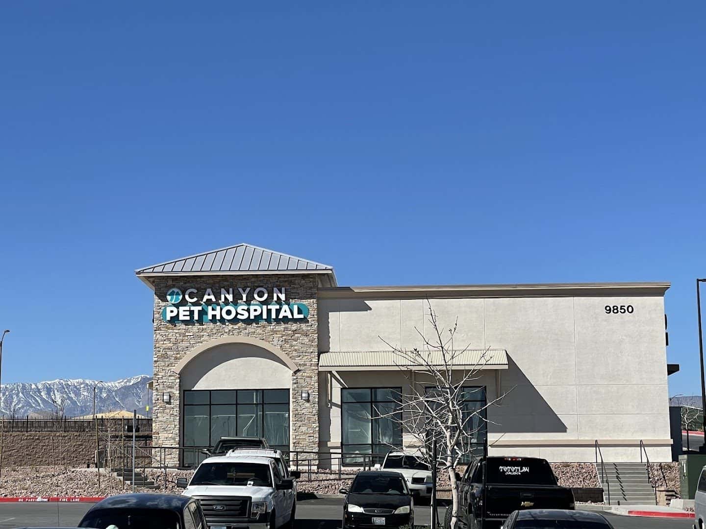 Canyon Pet Hospital — Doctors & Medical photo 1 of 5