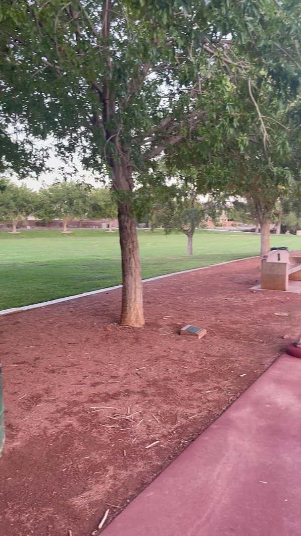 Sunridge Park — Family Fun & Recreation photo 2 of 5