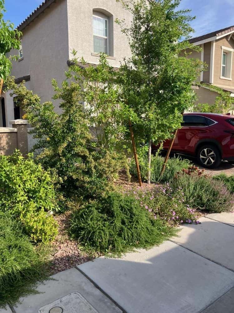 Bullseye Landscaping and Outdoor Services — Lawn & Landscape photo 2 of 5