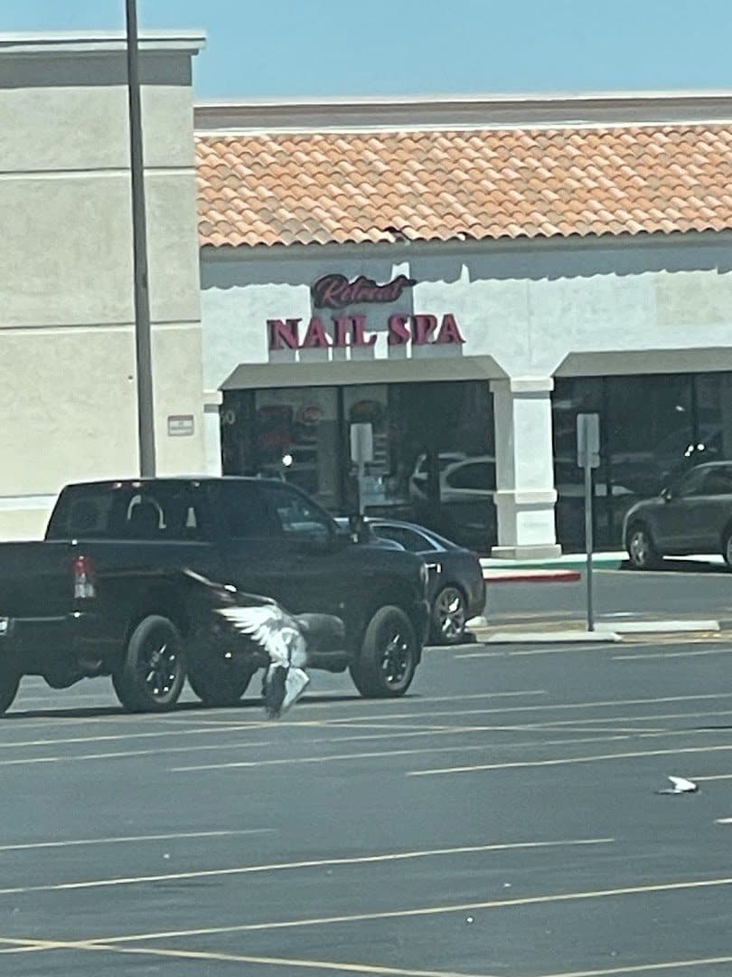 Retreat Nail Spa — Nail Salons & Spas photo 1 of 5