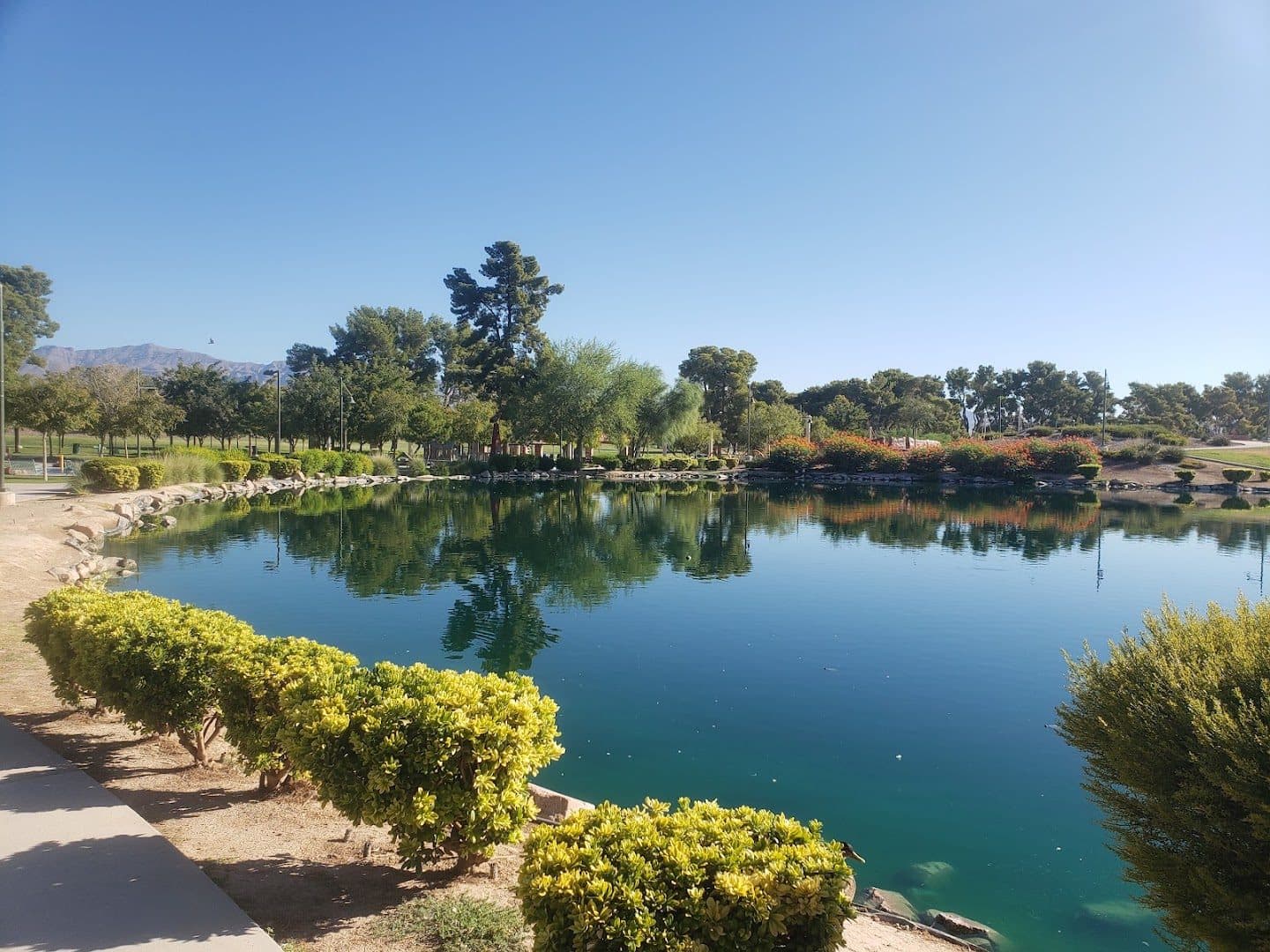 Craig Ranch Regional Park — Family Fun & Recreation photo 1 of 5