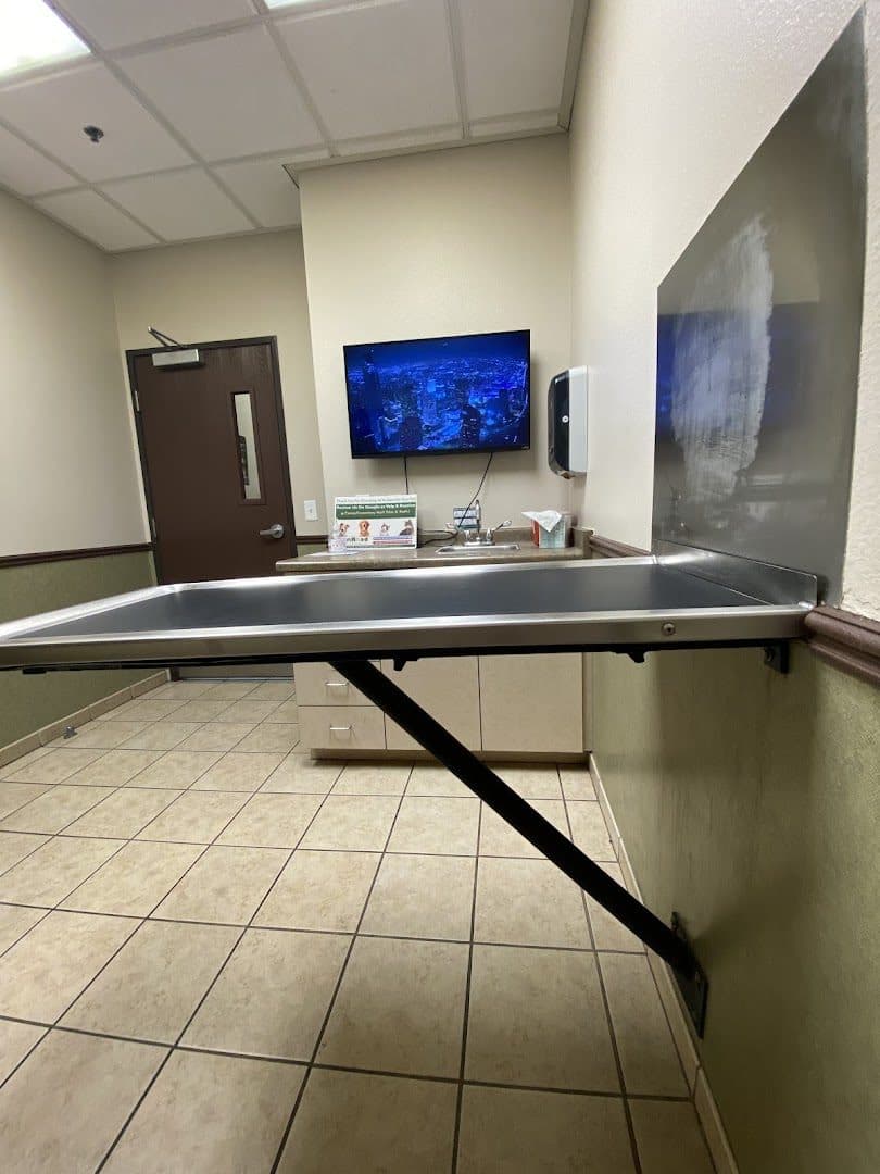 Ann Road Animal Hospital — Doctors & Medical photo 1 of 5