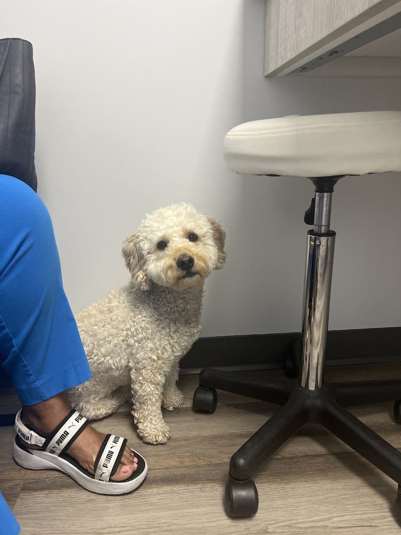 Highlands Animal Care — Doctors & Medical photo 1 of 5