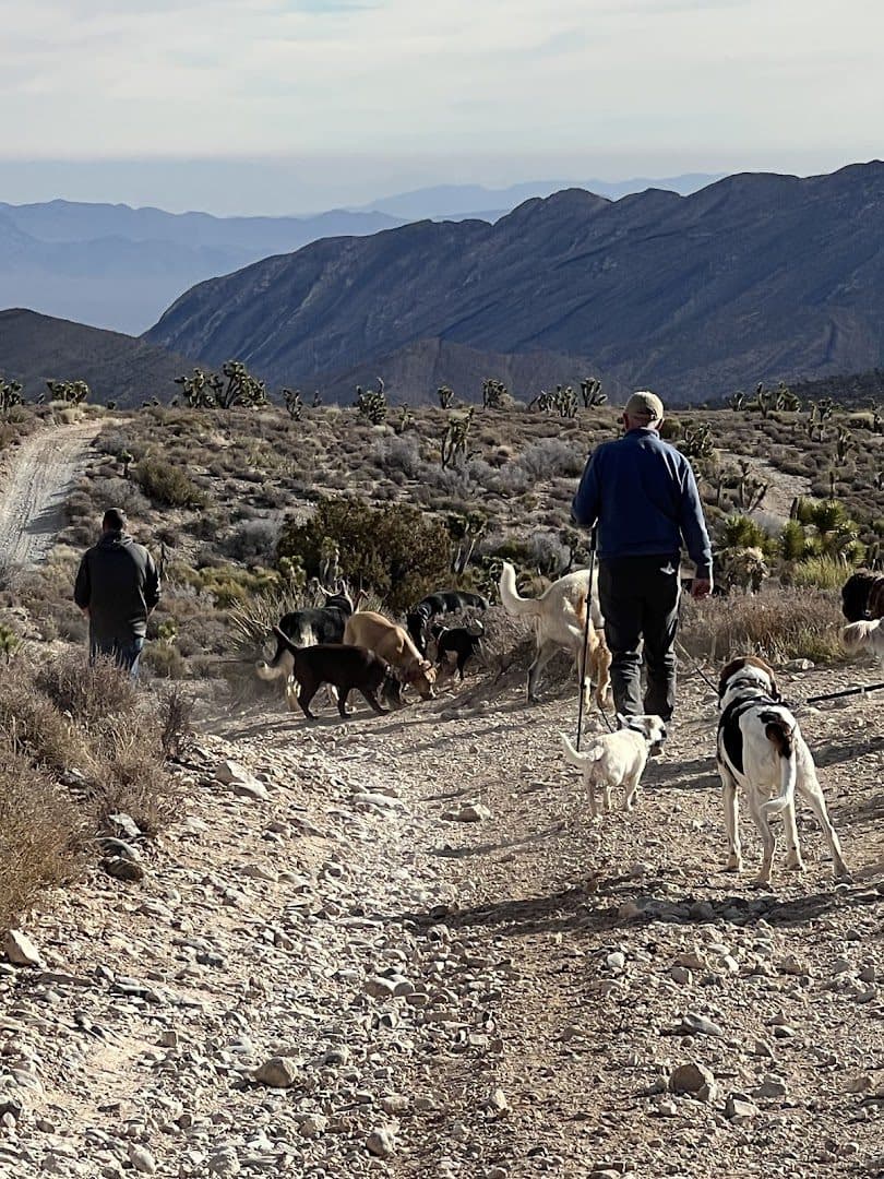 Vegas K9 Adventures — Childcare & Schools photo 1 of 5