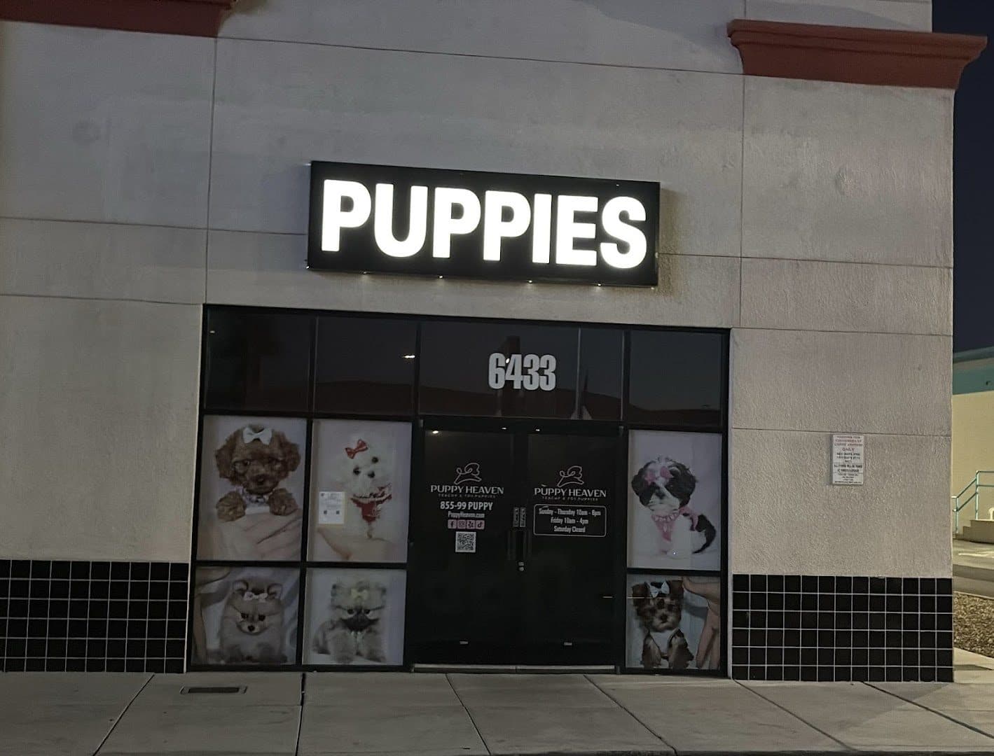 Puppy Heaven - Teacup & Toy Puppies for Sale — Retail & Boutiques photo 1 of 5