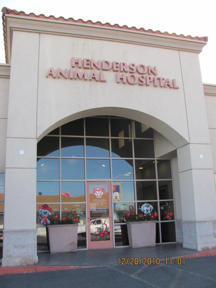 Henderson Animal Hospital — Retail & Boutiques photo 1 of 5