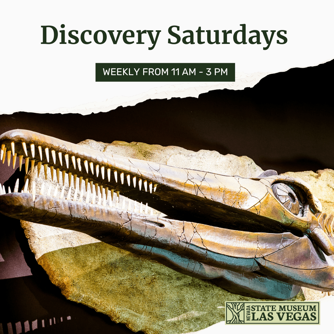 Discovery Saturdays