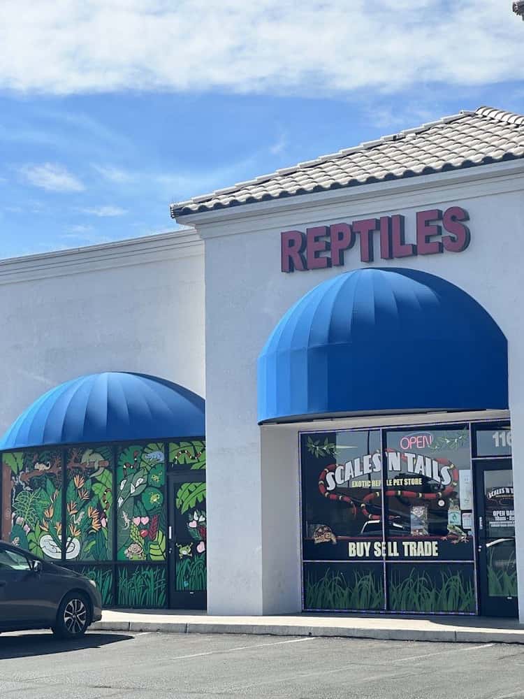 Scales 'N Tails North Las Vegas