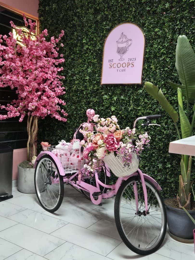 Scoops y Cafe — Coffee Shops & Cafes photo 3 of 5