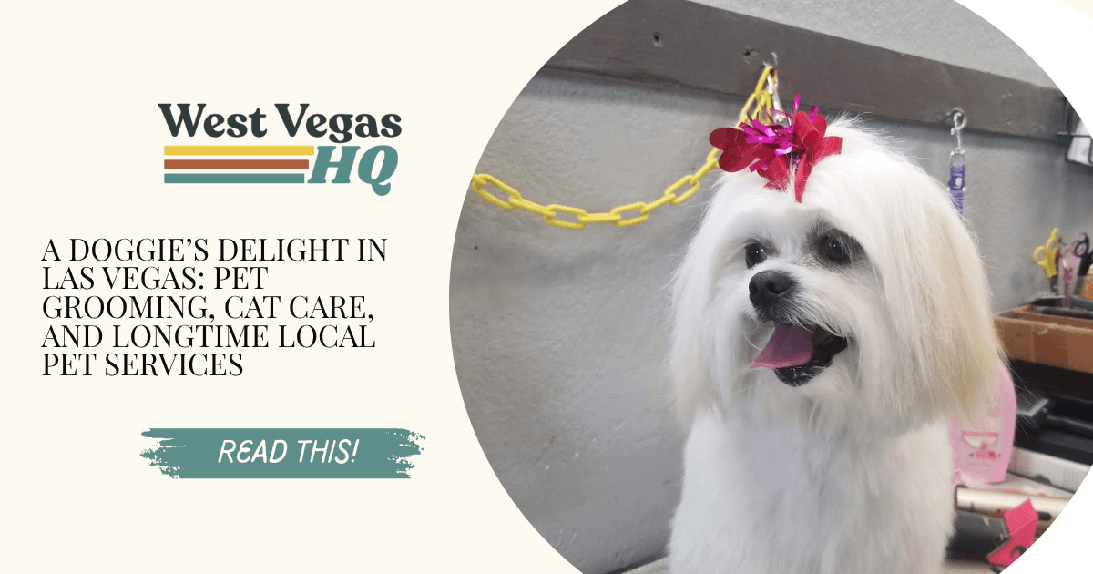 A Doggie’s Delight in Las Vegas: Pet Grooming, Cat Care, and Longtime Local Pet Services
