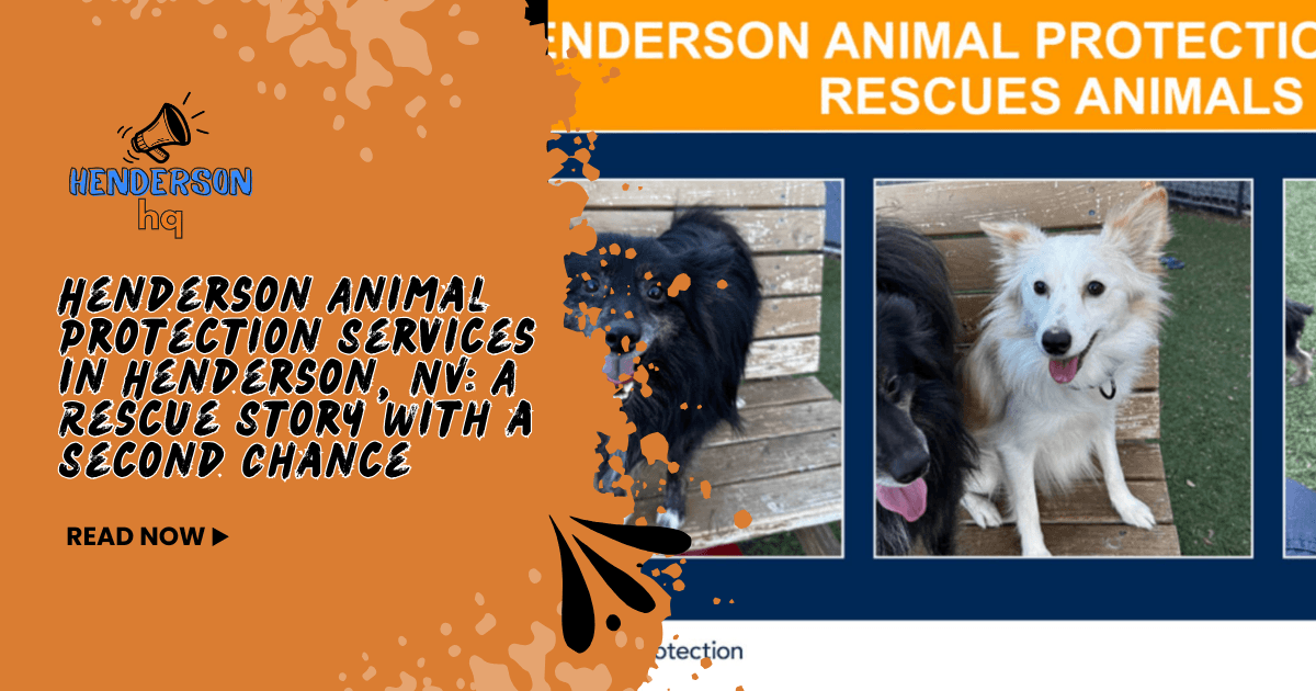 Henderson Animal Protection Services in Henderson, NV: A Rescue Story With a Second Chance
