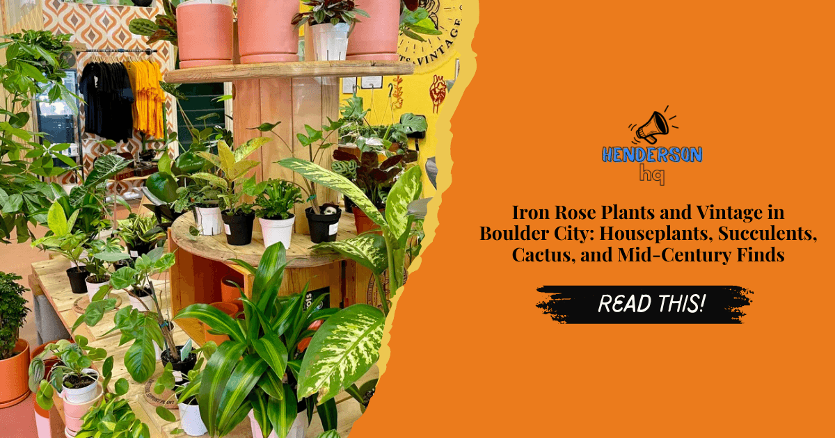 Iron Rose Plants and Vintage in Boulder City: Houseplants, Succulents, Cactus, and Mid-Century Finds