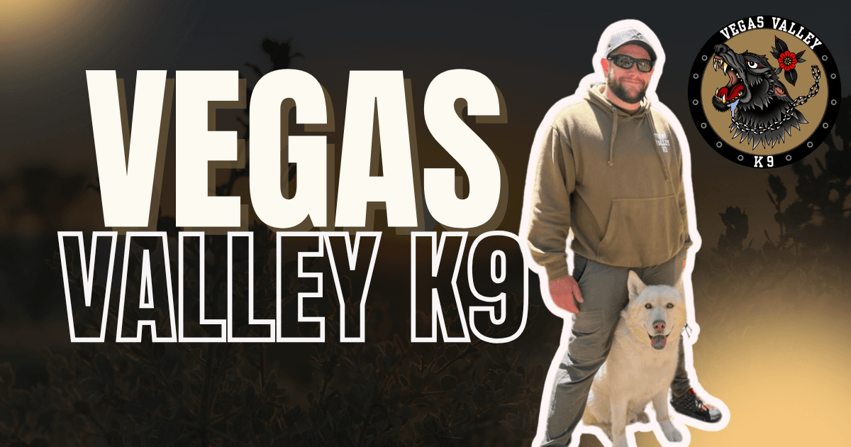 Vegas Valley K9: Premier Dog Training in Las Vegas’ Arts District 🐾