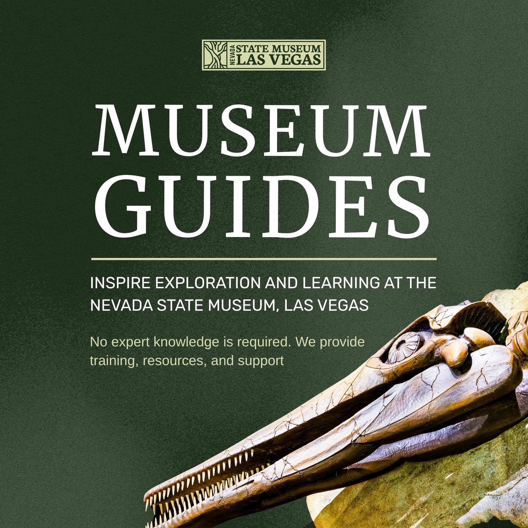 Museum Guide Meetups